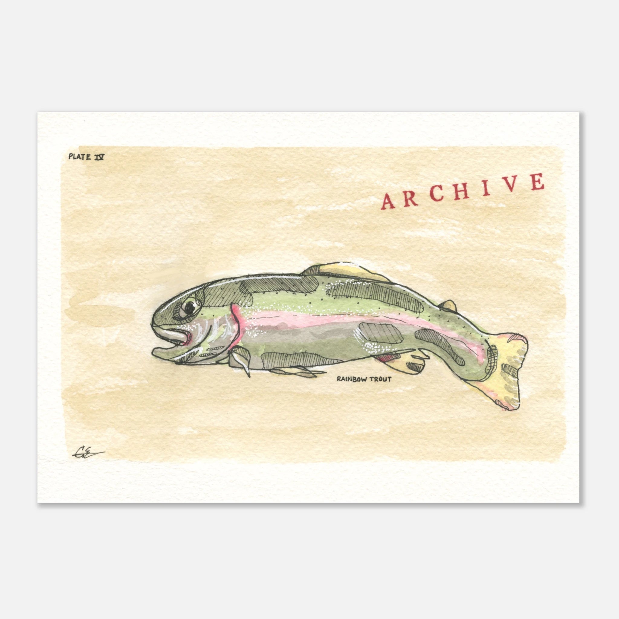 44d7c6e8-8204-4ea4-a6a1-e7c6ed88945f